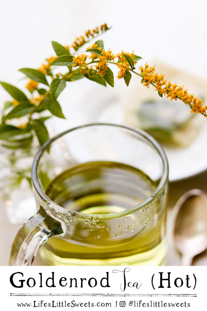 Goldenrod Tea with Goldenrod flowers in a clear, glass mug Pinterest pin with text, 