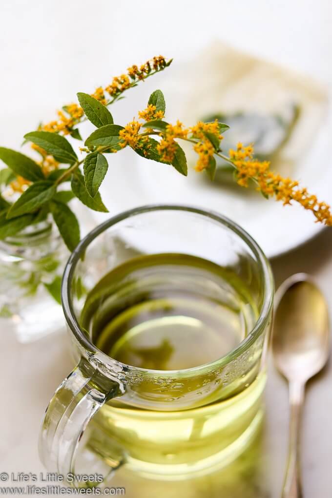 Hot Goldenrod Tea with goldenrod flowers