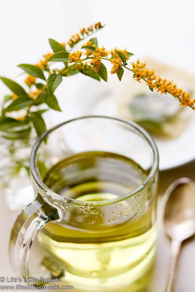 freshly made, light yellow, Goldenrod Tea with Goldenrod flowers - lifeslittlesweets.com