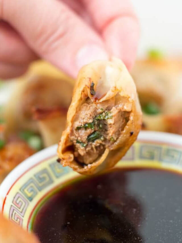  Dumpling Recipe Collection Story