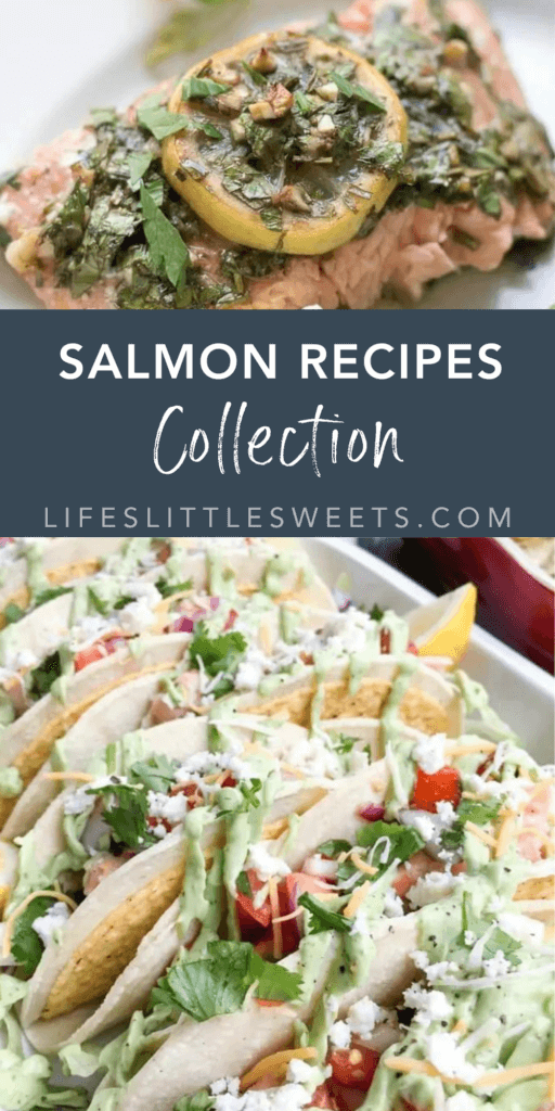 salmon recipes collection with text overlay