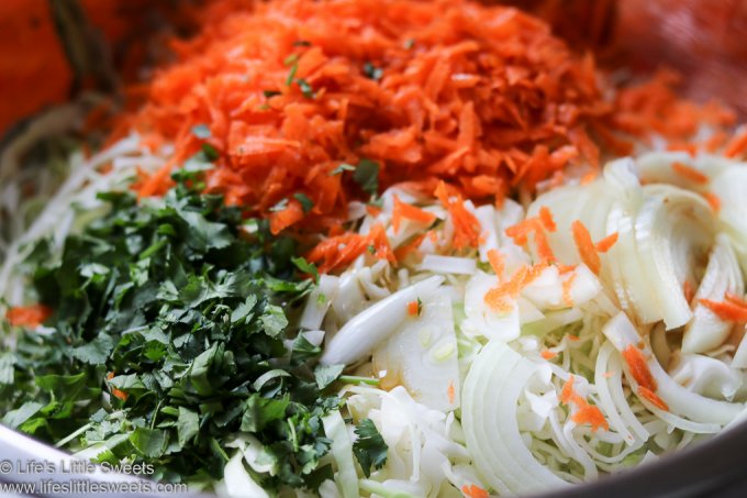 Asian Inspired Cole Slaw Recipe up close process
