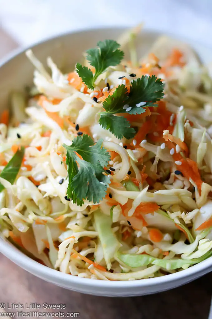 Asian Inspired Cole Slaw Recipe up close