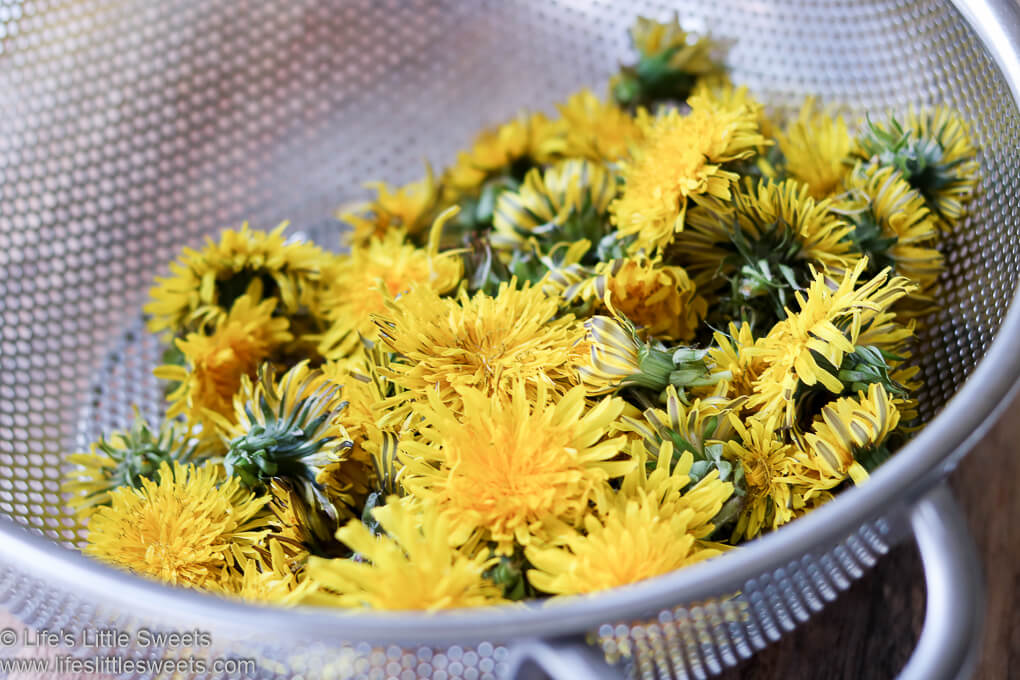 Dandelion in a mesh stainless steel colander 