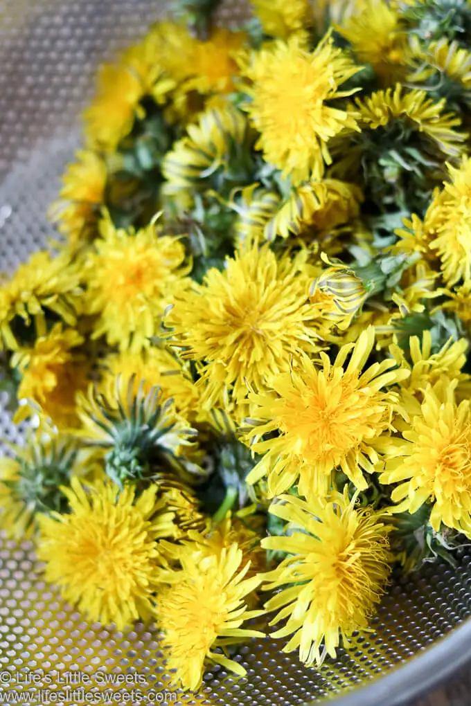 Dandelion Fritters in a mesh strainer