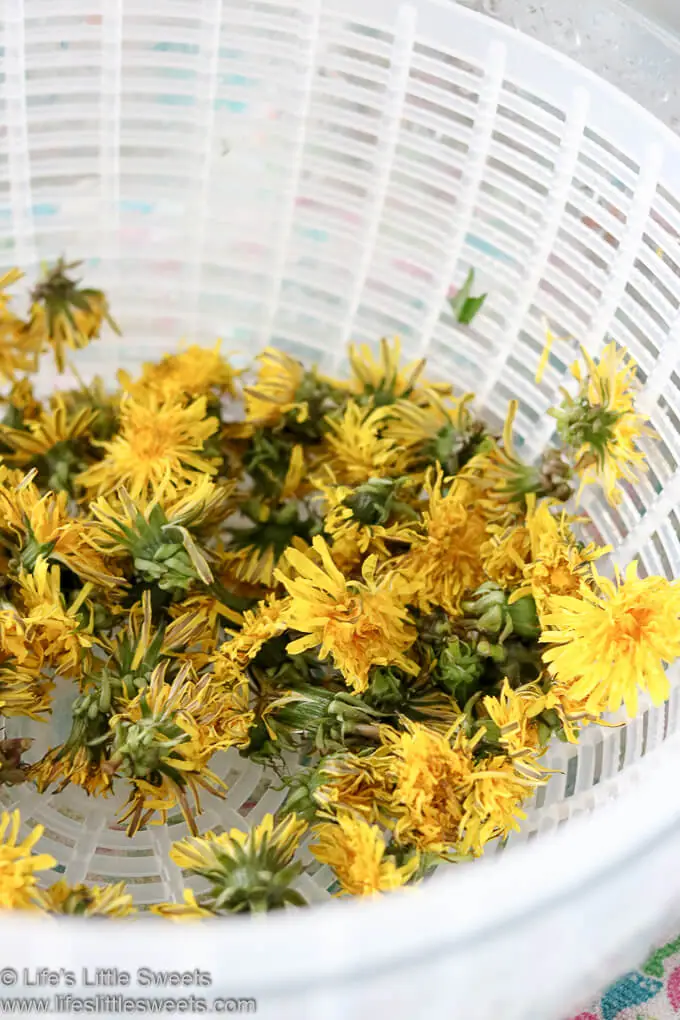 Dandelion Fritters