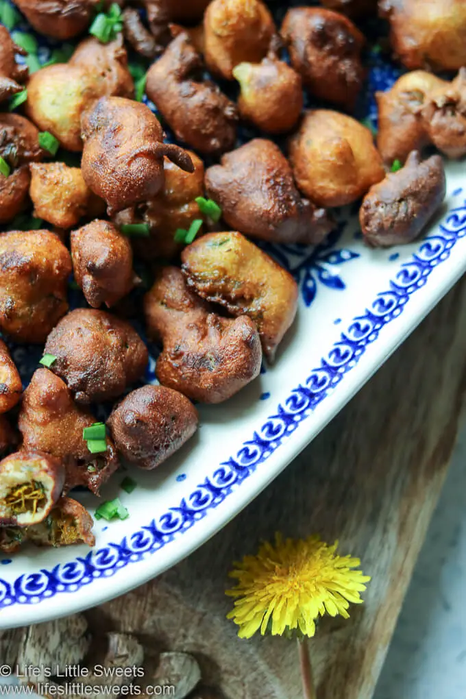 Fried Dandelion Fritters on a plate