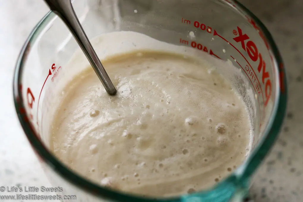 Food Processor Pizza Dough