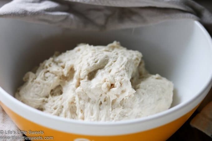 Food Processor Pizza Dough in bowl