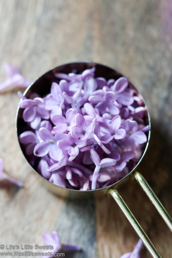 Lilac Flower Honey (Edible Flowers, Foraged Life's Little Sweets