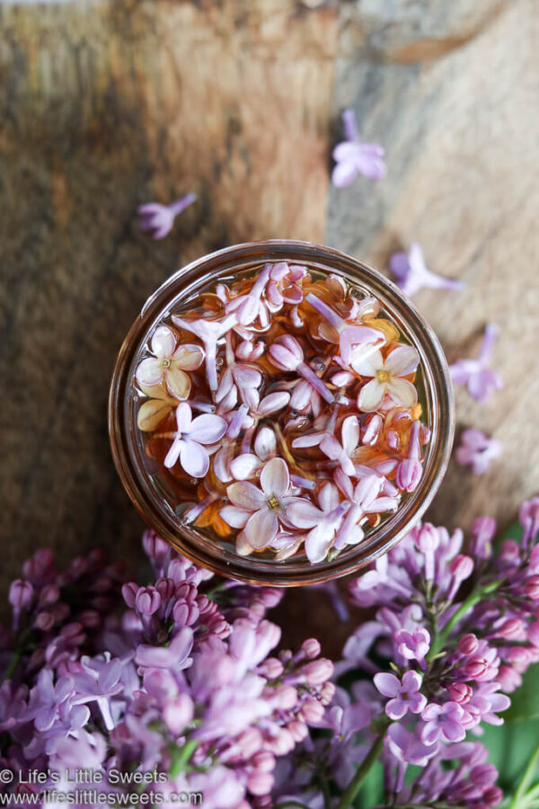 Lilac Flower Honey (Edible Flowers, Foraged Life's Little Sweets
