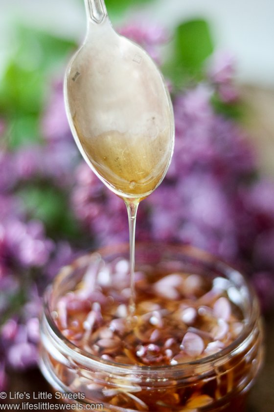Lilac Flower Honey (Edible Flowers, Foraged Life's Little Sweets