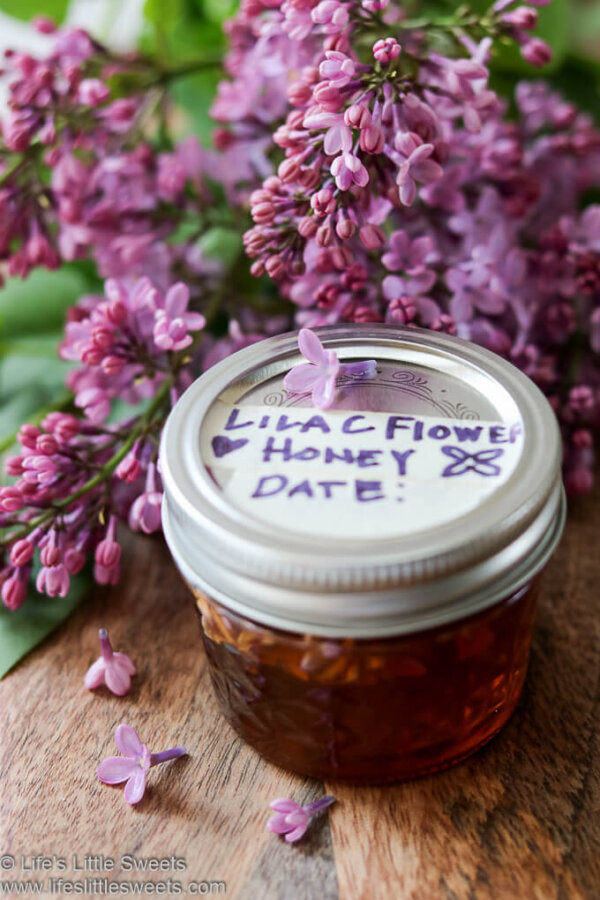 Lilac Flower Honey (Edible Flowers, Foraged Life's Little Sweets