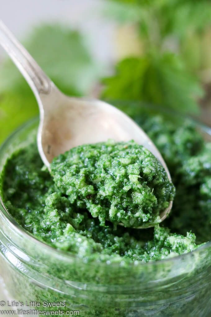 Nettle Pesto Recipe on a spoon