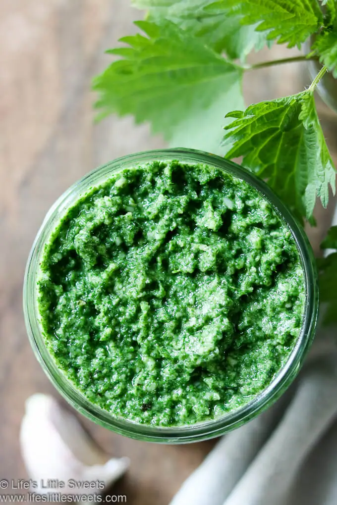 Nettle Pesto overhead view