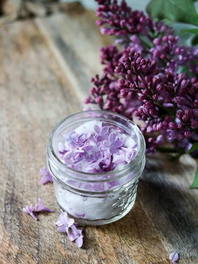 Lilac Flower Sugar Story