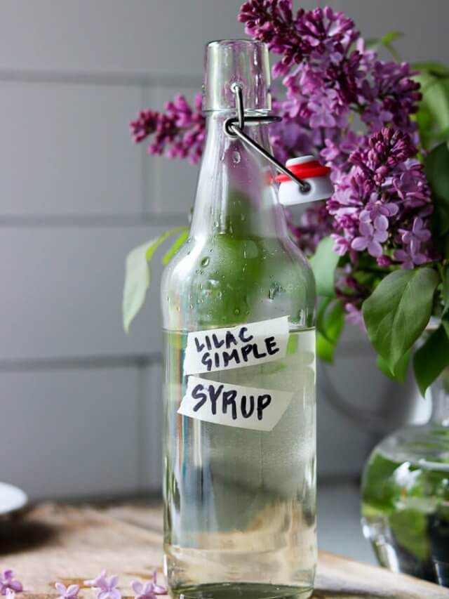 Lilac Flower Simple Syrup Story