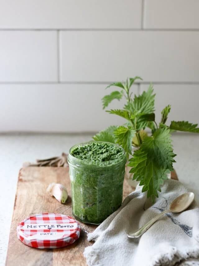 Nettle Pesto Story