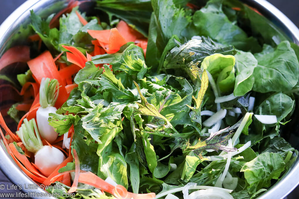 Spicy Greens Salad (Spicy Greens, Carrots, Turnips, Onions, Arugula