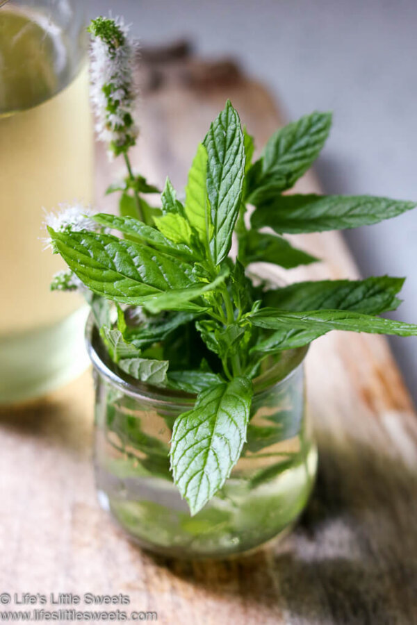 Mint Simple Syrup ( Fresh Mint Leaves, Sugar) Life's Little Sweets