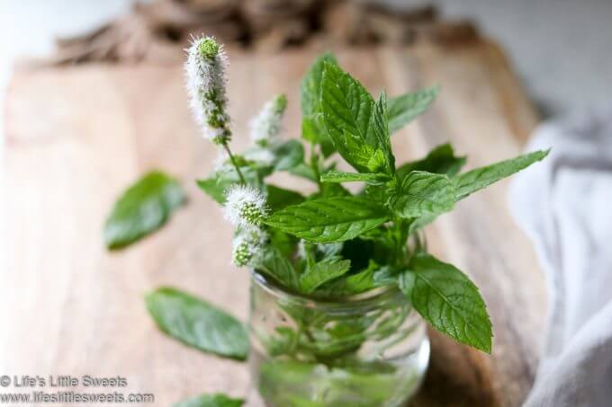 fresh mint sprigs in a glass jar