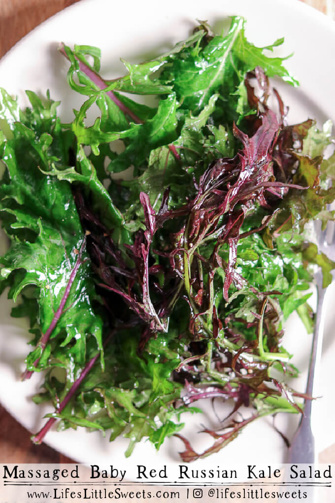 Massaged Baby Red Russian Kale Salad on a white plate