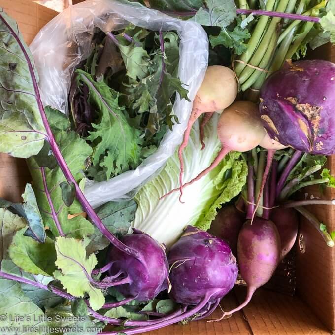 Organic CSA Share Box Week 9 - box of October organic produce