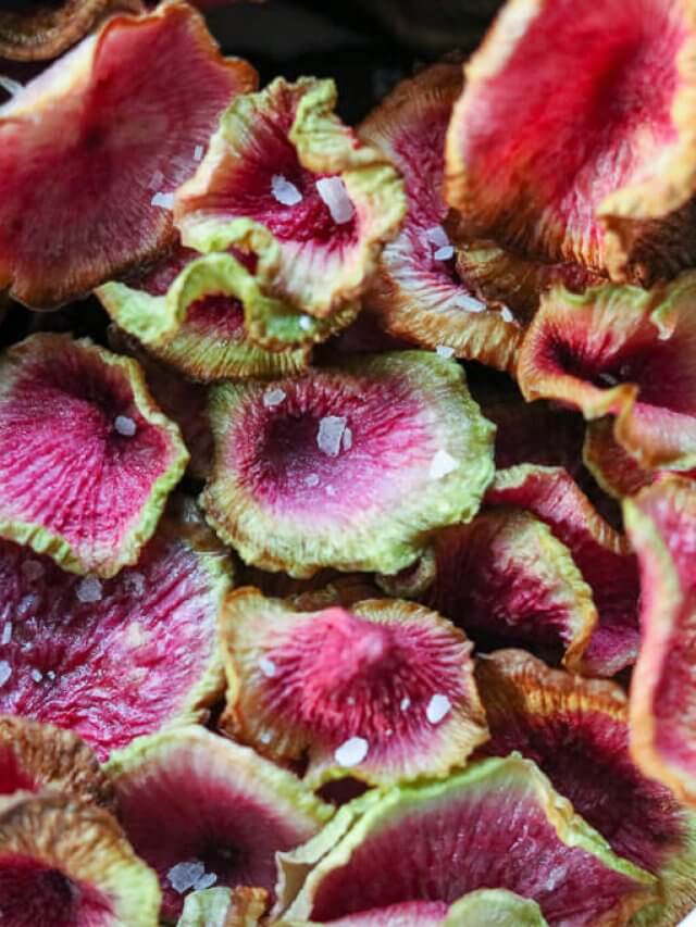 cropped-Air-Fryer-Watermelon-Radish-Chips-2020-10-10_17.44.16.jpg