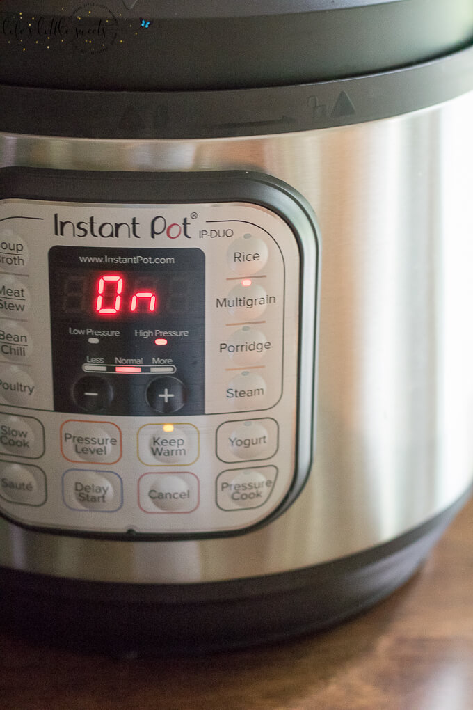 Instant Pot close up on