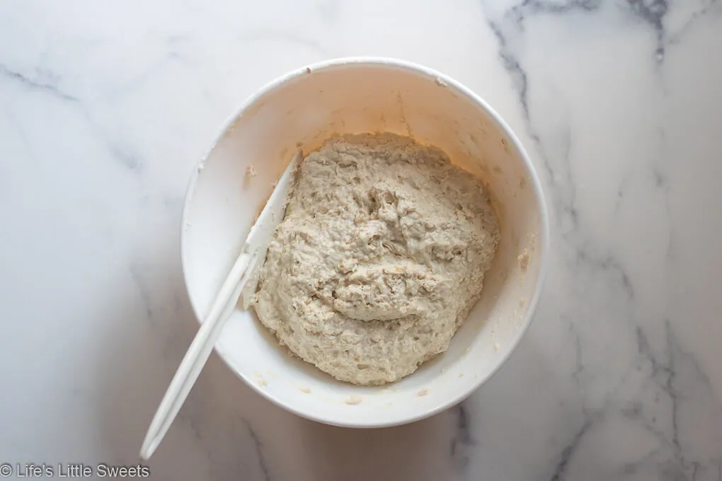 No-Knead Oatmeal Bread