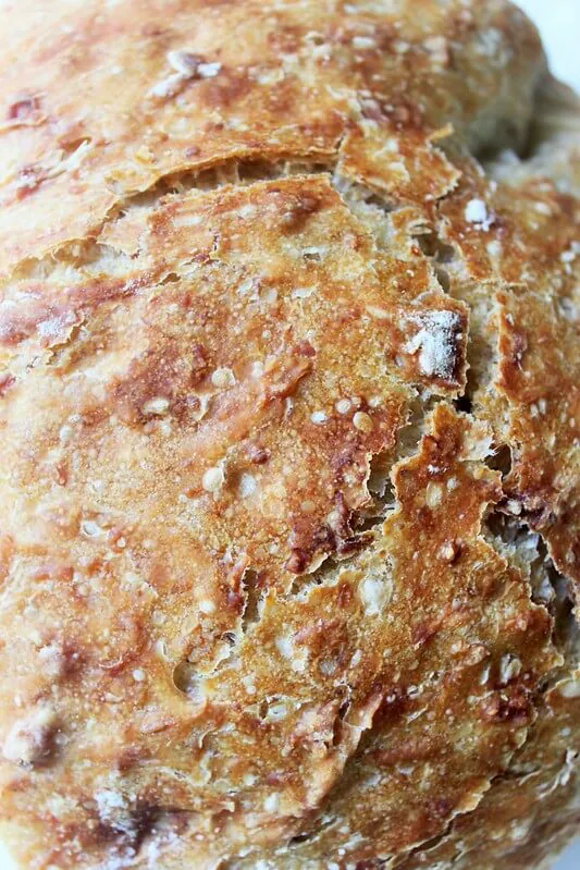 No-Knead Oatmeal Bread overhead close up of the crust