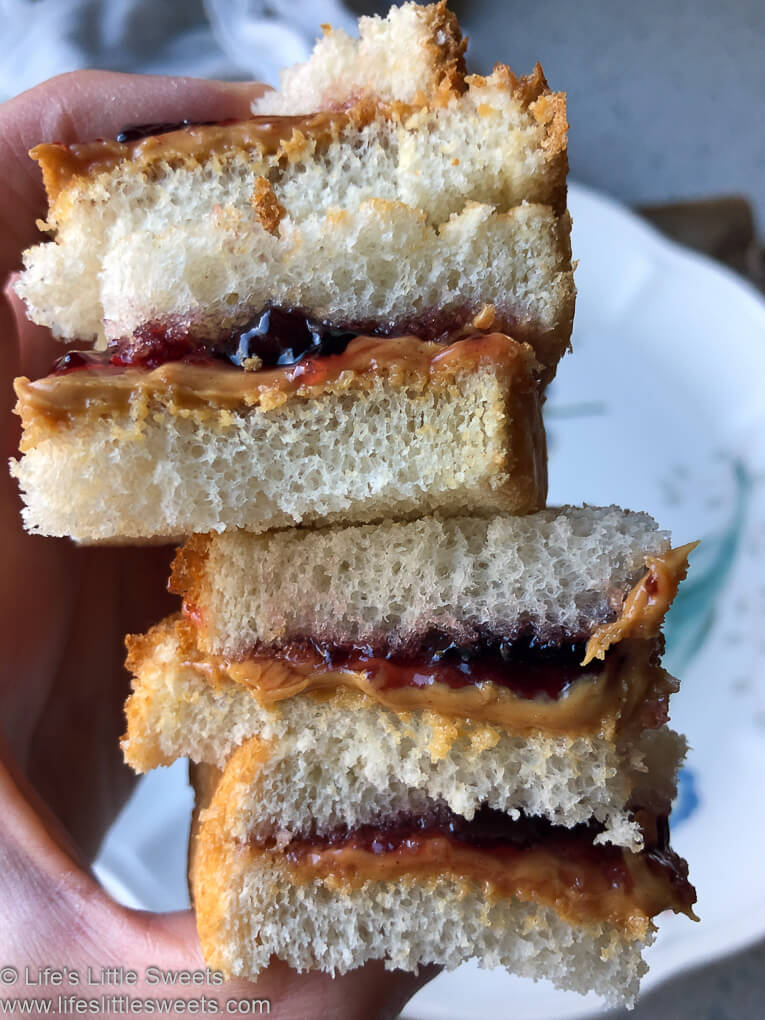 Peanut Butter and Jelly Sandwich