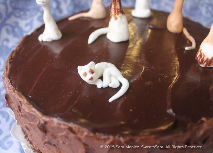 Fondant Felines Chocolate Cake cat decorations 