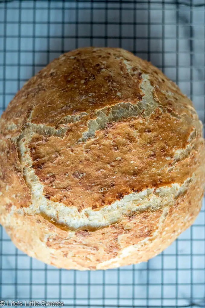 No-Knead Oatmeal Bread crust overhead