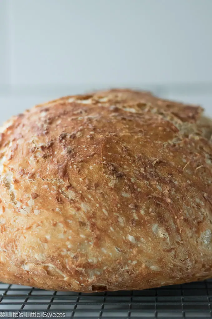 No-Knead Oatmeal Bread crust