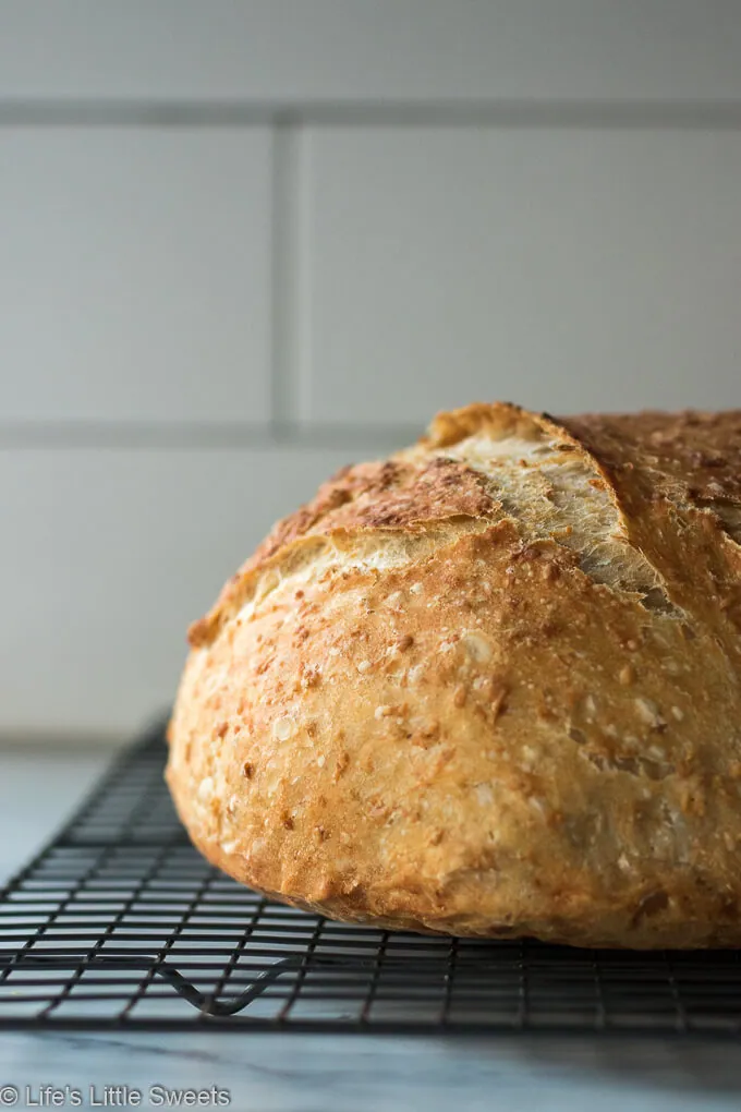 No-Knead Oatmeal Bread close up crust