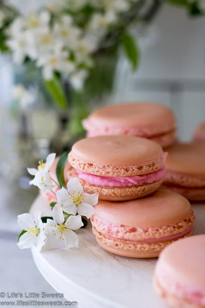 pink French Macarons with crab apple flowers on a cupcake tree in a white kitchen
