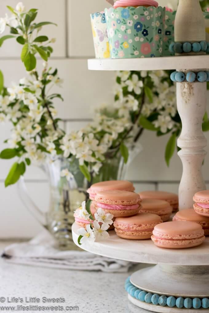 pink French Macarons with crab apple flowers on a cupcake tree in a white kitchen