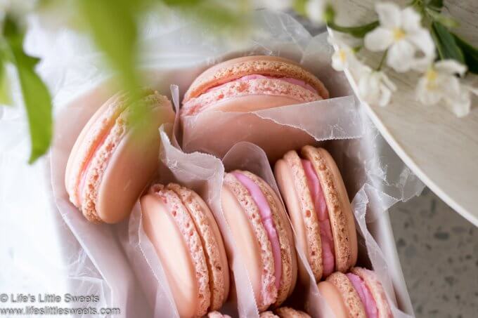 pink French Macarons close up in a rectangular dish