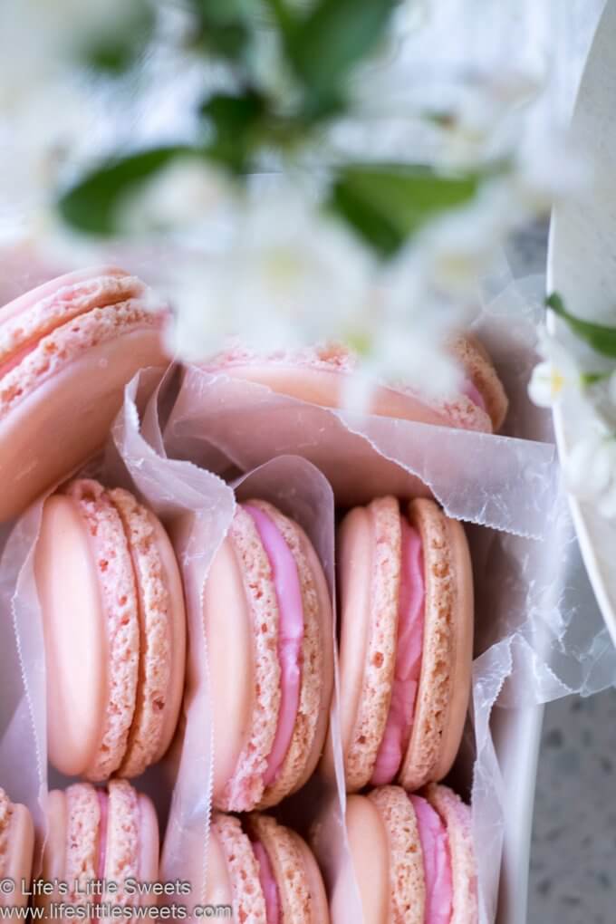 pink French Macarons close up
