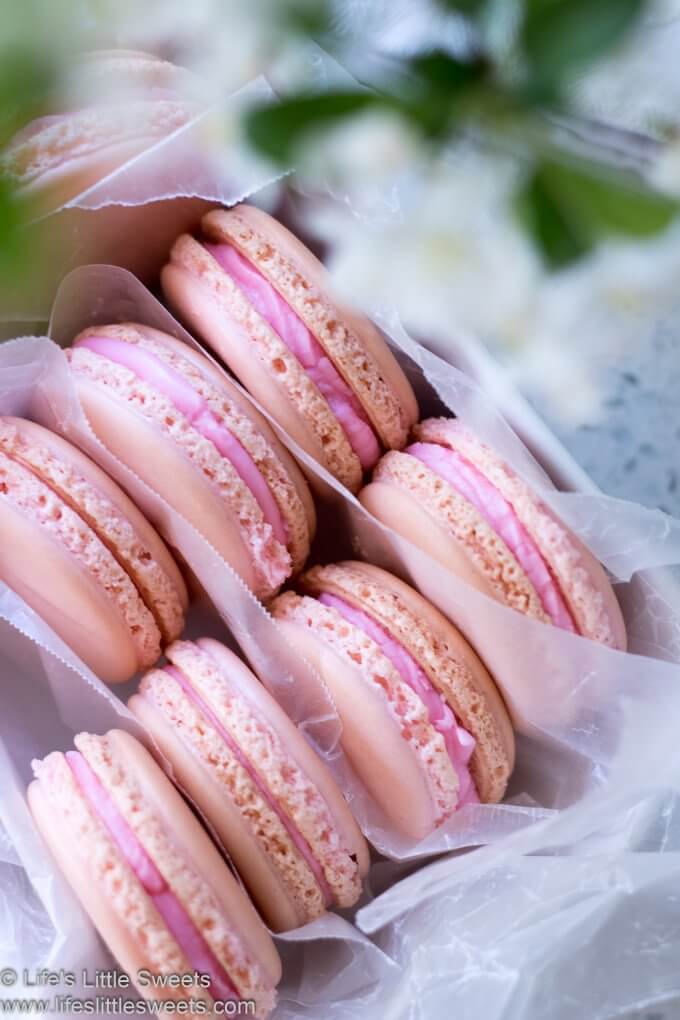 pink French Macarons close up