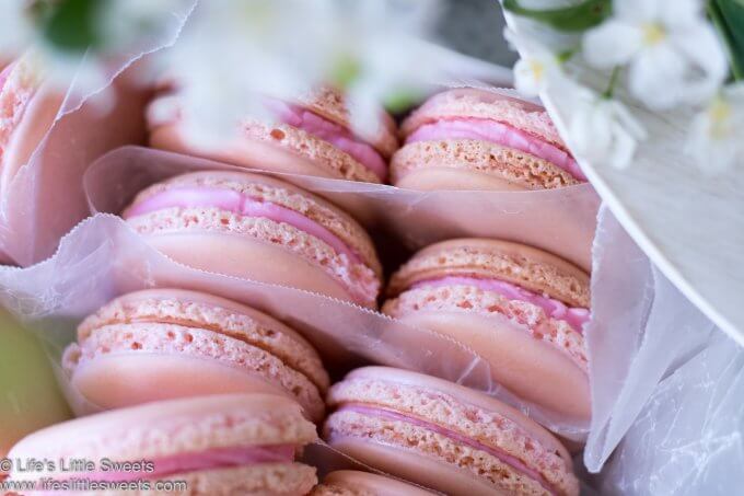 pink French Macarons close up