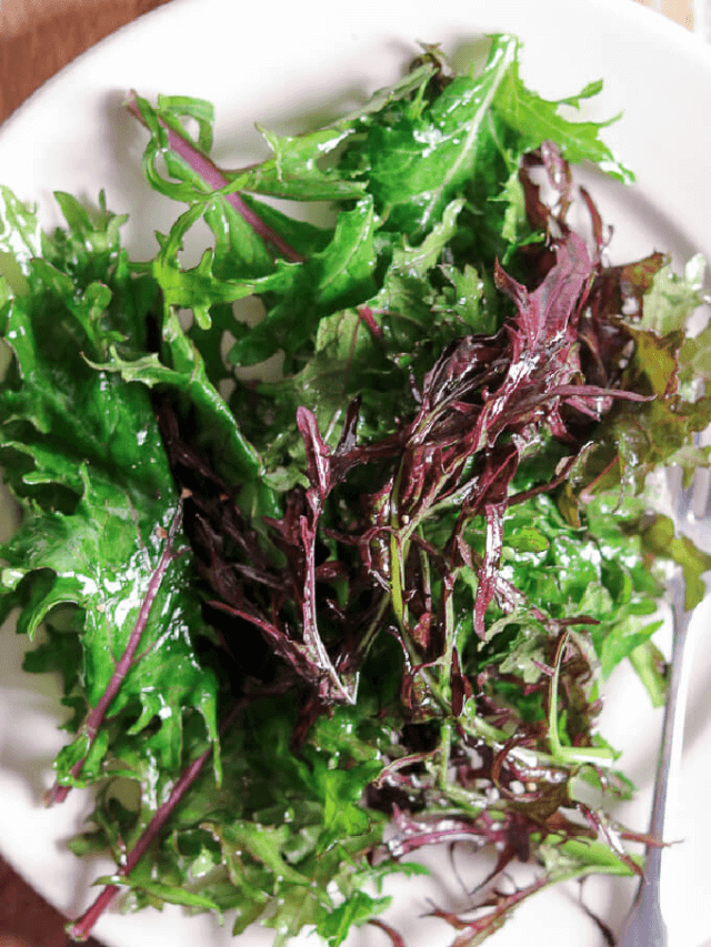 MASSAGED BABY RED RUSSIAN KALE SALAD