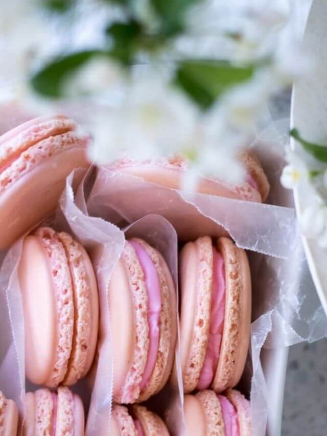 French Macarons Story