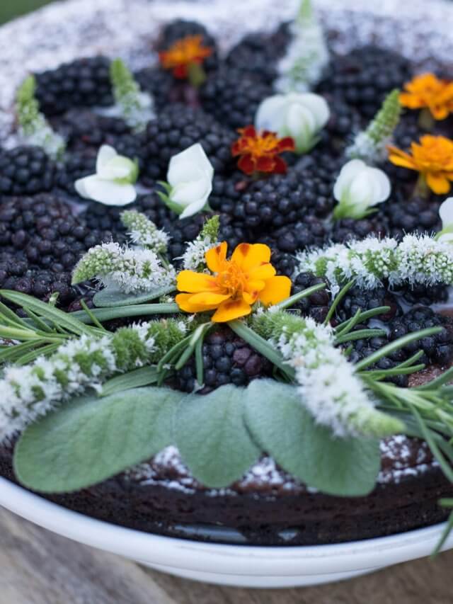 Flourless Chocolate Cake with Blackberries and Edible Flowers Story
