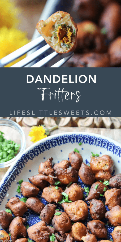 Dandelion Fritters - Foraged, Wild Food, Recipe with text overlay