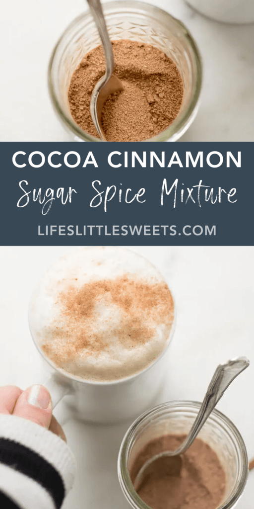Cocoa Cinnamon Sugar Spice Mixture with text overlay