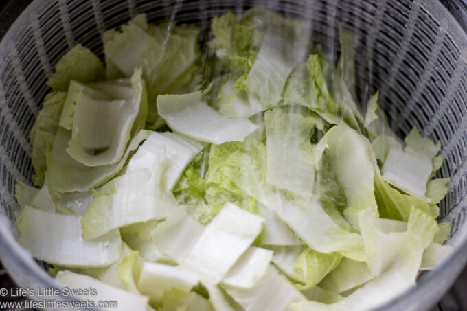 washing Napa cabbage