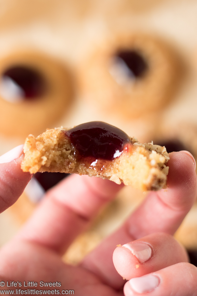 one of Grandma’s Perfect Jam Thumbprint Cookies in a hand with a cite taken out