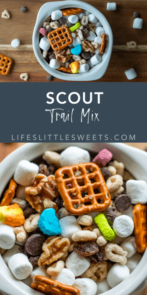 scout trail mix